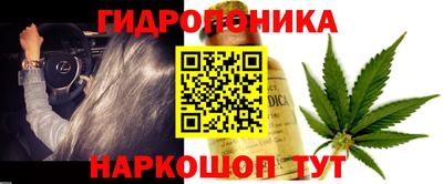 Альфа ПВП Будённовск