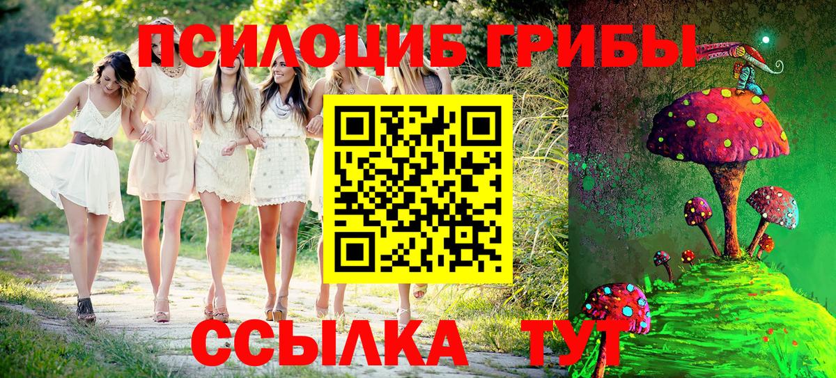Холмск  дарнет шоп  Вход с VPN  Псилоцибиновые грибы Psilocybine cubensis 