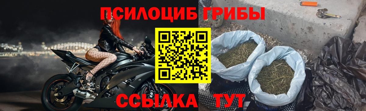 Галлюциногенные грибы Magic Shrooms Холмск